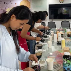 This is a coffee cupping session in action. You'll learn to taste coffee like a pro, identifying different notes and characteristics. We use tools like the flavor wheel to put words to what you're tasting, making the process accessible and not just for snobs.