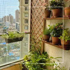 Even a compact city balcony can become a lush, green sanctuary. Here in a Mumbai high-rise, we used a combination of wooden shelving, a trellis for climbing plants, and terracotta pots to create a multi-layered garden that maximizes vertical space and brings nature indoors.