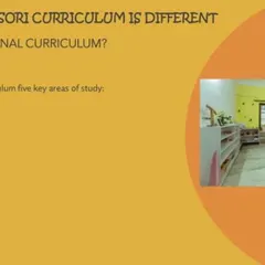 A look at our prepared environment, which is central to the Montessori method, alongside an outline of our five key curriculum areas.