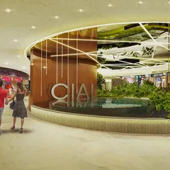 This render for the Cochin Airport shows a central water feature surrounded by retail spaces. The design uses water and light to create a dynamic focal point, enhancing the ambiance of the commercial area and improving the passenger experience.