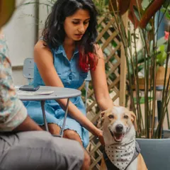 A happy visitor getting some love from a fellow guest. Our cafe is a great place for both humans and pets to socialize.