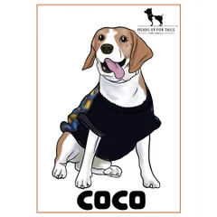 This is a colored digital portrait of a cute Beagle named Coco. These illustrations make for wonderful keepsakes for any pet owner.