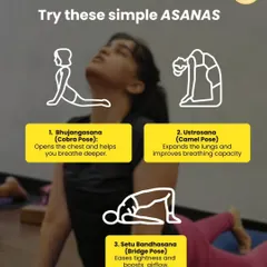 When air quality is poor, certain asanas can help support your respiratory system. This graphic highlights simple poses like Cobra, Camel, and Bridge Pose that open the chest and expand the lungs for deeper breathing.