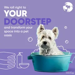 Imagine a professional grooming service pulling up to your home. I handle everything from the bath to the cleanup, turning a typically stressful errand into a convenient, at-home pet spa day.