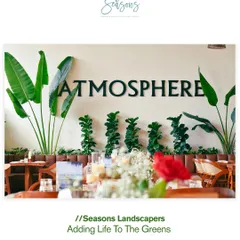 We designed the interiors of Atmosphere cafe to live up to its name. Here, tall bird of paradise plants and fiddle leaf figs frame the space, creating a sophisticated and natural ambiance for diners.