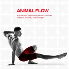Animal Flow is one of our core mobility offerings. It uses movements inspired by animal forms to improve both mobility and functional, ground-based strength.