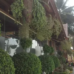 A closer look at the exterior landscaping project. We use a variety of plants and textures to create visual interest, ensuring the space looks great from every angle. We also offer maintenance packages to keep it looking perfect.