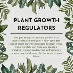 Plant Growth Regulators (PGRs) are little wonders that can help you create a thriving, vibrant garden. Let's talk about how these can help you achieve the garden of your dreams.