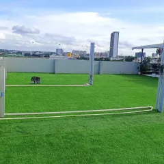 The same rooftop, now a lush green terrace. This angle shows how the artificial grass provides a clean, seamless look across the entire space, covering unsightly pipes and surfaces.