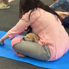 Sometimes the best part of yoga is the savasana, especially when a sleepy puppy decides to join you for a nap. This is relaxation on a whole new level.