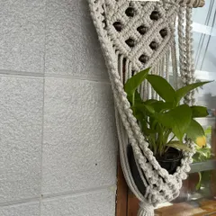 My beaded macrame plant hanger, perfectly holding a money plant. It's a beautiful way to display your favorite houseplants.