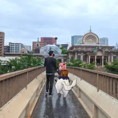 Strolling across a bridge in Japan with some special company, Anya and Bond from 'Spy x Family'. This is a fun example of my photo illustration work.