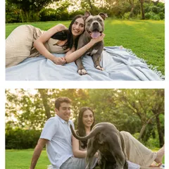 A duplicate of ID 61, this collage from an Alibaug engagement shoot shows the fun and love shared between a couple and their energetic pitbull, Millie.