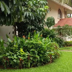 A deep garden bed filled with a variety of textures and shades of green curves alongside a neat lawn. This layering of plants creates a rich, full look that defines the edge of the property.