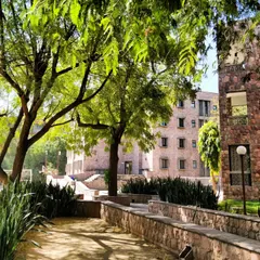 Lush greenery lines the pathways at the IIHMR campus. The landscape design is integral to the architecture, providing shade and creating pleasant walkways that connect the various buildings and courtyards.