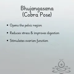 Bhujangasana (Cobra Pose) is beneficial for PCOS as it opens the pelvic region and stimulates ovarian function, helping to regulate the menstrual cycle.