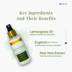 We believe in transparency about our ingredients. This graphic details the key components of our flea and tick spray, including Lemongrass Oil for repelling, Eugenol for soothing, and Aloe Vera Extract for healing and nourishing the skin.