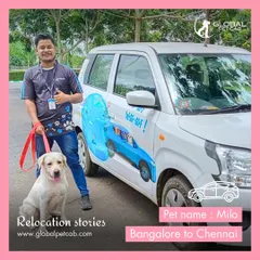 Our handler poses with Milo the Labrador next to our specially equipped pet taxi before their road trip from Bangalore to Chennai. Our vehicles are branded and designed for safe, long-distance animal transport.