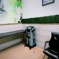 In another room of the same clinic, we installed a simple green ledge. This subtle touch of maintenance-free greenery helps create a more serene and less clinical environment for patients.