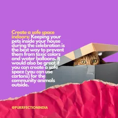 Tip 2 for a safe Holi: Create a safe space indoors for your pets. For community cats, even a simple cardboard box can provide a much-needed shelter from colours and water balloons.