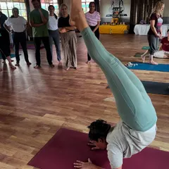 The journey into advanced asanas like Vrischikasana (Scorpion Pose) is one of patience, strength, and discipline. In our 300-Hour course, we guide you safely into these challenging postures.