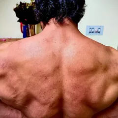 They told me not to deadlift or I'd break my back. I did it anyway. This is the result: a strong, dense back built by heavy compound movements.