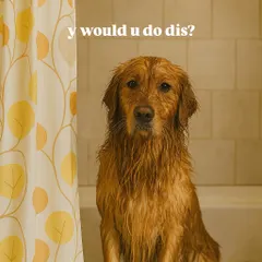 That look of betrayal is temporary, we promise. Our at-home grooming service is designed to be as stress-free as possible, even if your dog gives you the side-eye during the bath. We handle the deep cleaning and blow-dry, you get the post-bath cuddles.