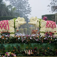 As a tribute to our rich Indian heritage, we crafted these life-sized elephants entirely from fresh flowers. This stunning installation, blending white and pink blooms, welcomed guests to a vibrant mehndi function, symbolizing wisdom, strength, and good fortune for the couple.