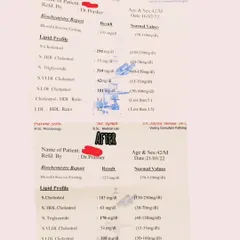 Here is another look at the same client's journey, focusing on the lipid profile. You can see a dramatic reduction in total cholesterol and triglycerides, moving from high levels to well within the healthy range. This is a clear example of how a cholesterol lowering diet strategy can yield measurable results.