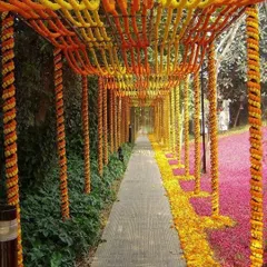 I love creating grand entrances that wow your guests. This long walkway is covered with a canopy of orange and yellow marigold strings, making everyone feel like they are walking through a field of flowers.