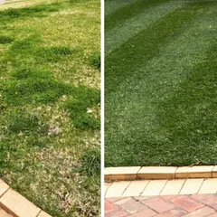 This is the difference our lawn maintenance makes. On the left is a lawn overrun with weeds, and on the right is the same space after our team provided a full lawn care treatment, including mowing and de-weeding.