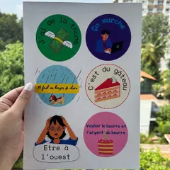 A sheet of our custom designed stickers featuring fun French idioms. We use these visual aids to make learning vocabulary and cultural expressions more memorable and enjoyable.