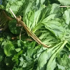 Close-up of the fresh green leaves, tied with a natural fiber string. This is how produce is often sold in local markets back home.