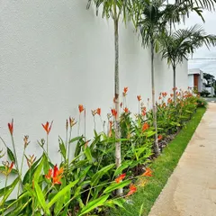 This is an example of a simple yet elegant pathway design. I planted slender palms and flowering Heliconia to create a tropical-style border along a walkway, adding beauty to the journey through the garden.