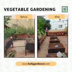Growing your own food is incredibly rewarding, and I can set up your very own vegetable garden. For this project, I cleared out old, unproductive planters and installed new, properly prepared garden beds ready for a fresh season of growth.