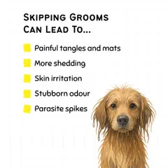 Skipping regular grooming can lead to more than just a messy coat. It can cause painful tangles, increased shedding, skin irritation, and even create a breeding ground for parasites.
