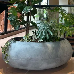 The 'Luna' planter is modern, chic, and mighty stylish. Its wide, low shape is perfect for creating a lush arrangement of multiple plants.
