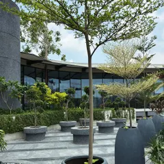 The synchronized placement of trees in large planters creates a formal rhythm in this corporate plaza. The modern architecture is complemented by the organized yet lush greenery.