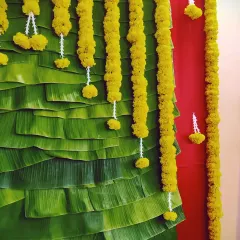 A closer look at the details of our banana leaf backdrop. The vibrant green of the leaves contrasts beautifully with the bright yellow marigold garlands, creating a fresh and festive look.