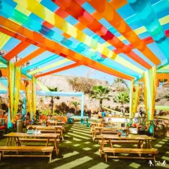 For this outdoor Haldi event, we used bright, multi-colored fabric strips to create a lively ceiling. The picnic-style benches provide a casual and comfortable seating arrangement for guests.