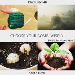 We offer a solution, not more pollution. This visual compares a traditional firecracker with our Green Bombs, which are seed balls that grow into plants. It’s a powerful choice for a cleaner, greener celebration.