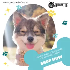 A happy pet is a well-cared-for pet. We provide the best kinds of accessories and supplies to keep your best friend smiling.