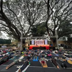 A large group practicing together under a magnificent banyan tree in Mysore. There is a powerful collective energy when we move and breathe as one, united in our intention.