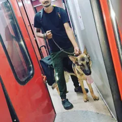 Onboard the train with a calm German Shepherd. I stay with them in the compartment to ensure they are safe and not stressed.