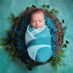 An overhead shot of a newborn swaddled in blue and green, nestled in a bird's nest prop. The rich teal fur and ivy details create a beautiful, nature-inspired portrait.