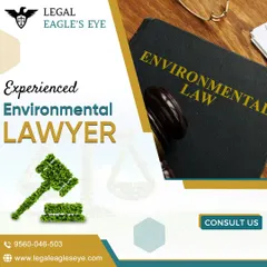 As a top environmental law firm in Gurgaon, we provide valuable advice to companies facing environmental litigation. The gavel made of green leaves in this image symbolizes our commitment to finding sustainable and compliant legal solutions.