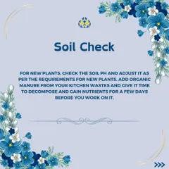 Healthy soil is the foundation of a healthy garden. This tip emphasizes the importance of a soil check, especially for new plants. I advise on using organic manure and preparing the soil to ensure your plants get the nutrients they need.