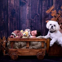 A baby's first furry friend. This incredibly sweet photo shows the family dog gently watching over the sleeping newborn, capturing a beautiful moment of loyalty and love.