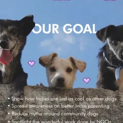 We are passionate about celebrating our native Indian dog breeds. Our 'Indie Month' is a special initiative with themed classes, meet-ups, and NGO collaborations to spread awareness and reduce myths around community dogs.