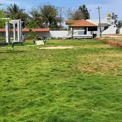 A freshly laid lawn, green and ready to grow. We use high-quality turf and our own organic soil mixes to give your new lawn the best possible start, ensuring it establishes quickly and grows into a thick, healthy carpet.